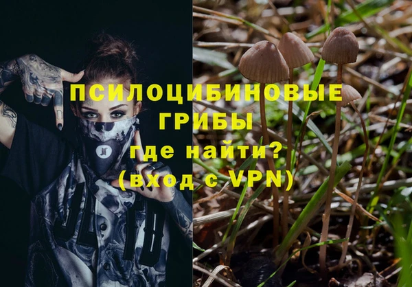 jwh Слюдянка