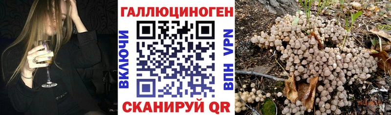 Галлюциногенные грибы Magic Shrooms  Ленинск 